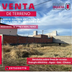 WhatsApp Image 2025-09-13 at 10.43.26 (1)