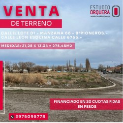 WhatsApp Image 2025-09-13 at 10.43.26