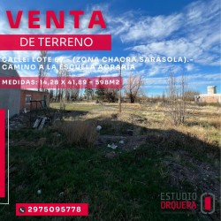 WhatsApp Image 2025-09-13 at 10.43.27 (1)