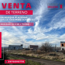 WhatsApp Image 2025-09-13 at 10.43.27